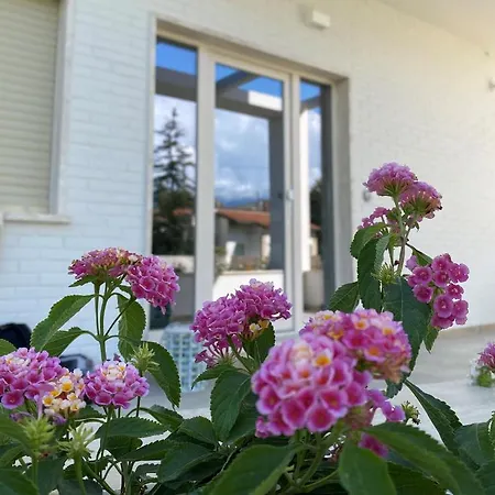 Frühstückspension D Erna Marina di Pietrasanta